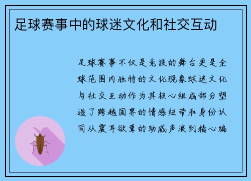 足球赛事中的球迷文化和社交互动