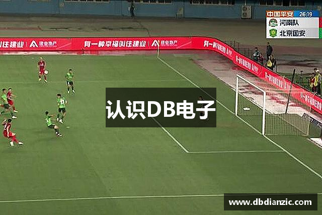 认识DB电子
